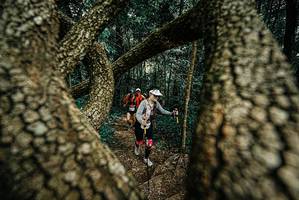 BIB: 
                            <button type="button" onclick="openModal(25703273)" class="btn btn-primary btn-sm float-right btn-popup" data-toggle="modal" data-target=".modal-high-quality">
                        <i class="fas fa-shopping-cart"></i> Add to Cart
                    </button>
                                            <button type="button" onclick="isThisMe(25703273, true)" class="btn btn-success btn-sm float-right btn-popup btn-isme hidden" data-toggle="tooltip" data-placement="bottom" title="นี่คือรูปของคุณใช่ไหม คลิกที่นี่เพื่อเอาเข้าอัลบั้ม">
                        <i class="fas fa-plus"></i> Add to album
                    </button>
                    <button type="button" onclick="isThisMe(25703273, false)" class="btn btn-warning btn-sm float-right btn-popup btn-isnotme hidden">
                        <i class="fas fa-ban"></i> Remove from album
                    </button>